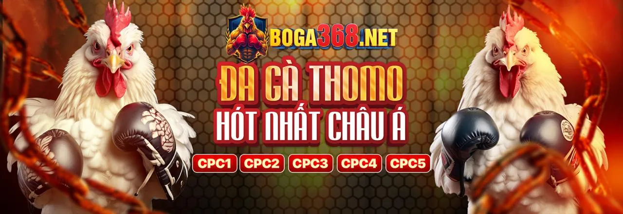 Các kênh hỗ trợ của 999ok life