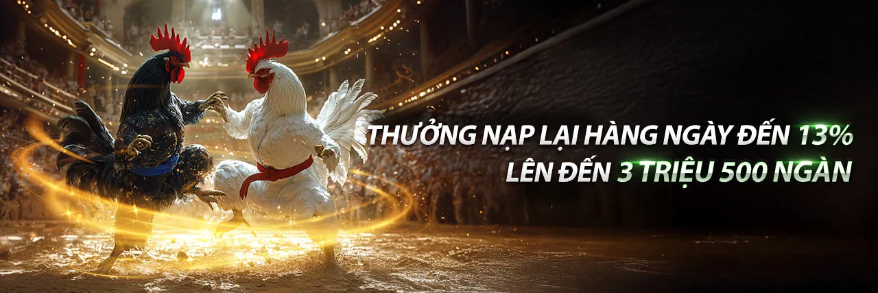 Đá Gà 88 - Sân chơi cá cược trực tuyến uy tín hàng đầu Việt Nam