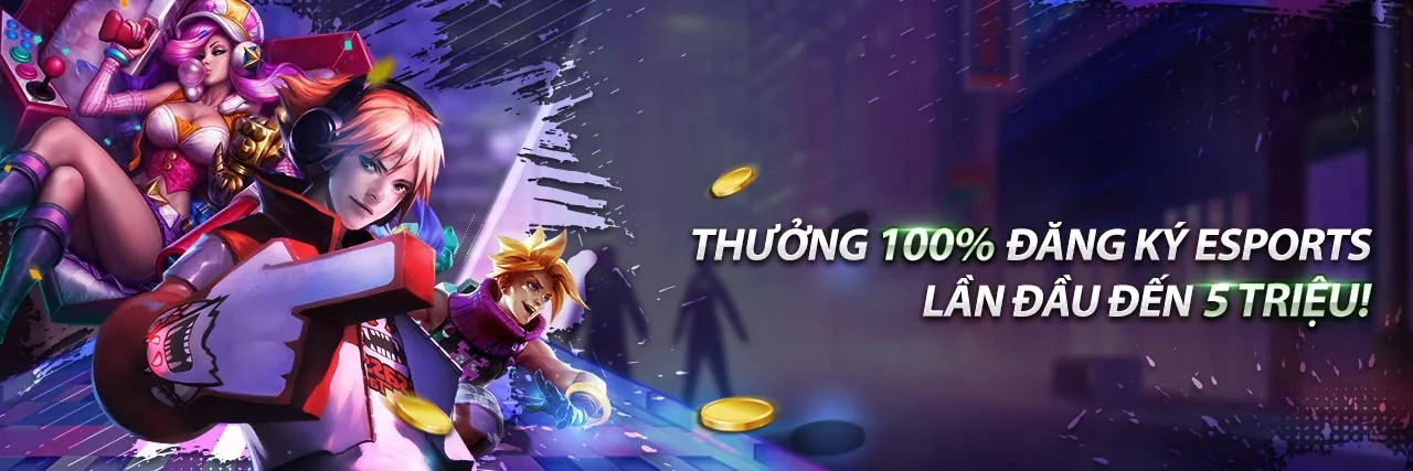 Biểu đồ minh họa các loại cookie khác nhau được sử dụng bởi Daga 88